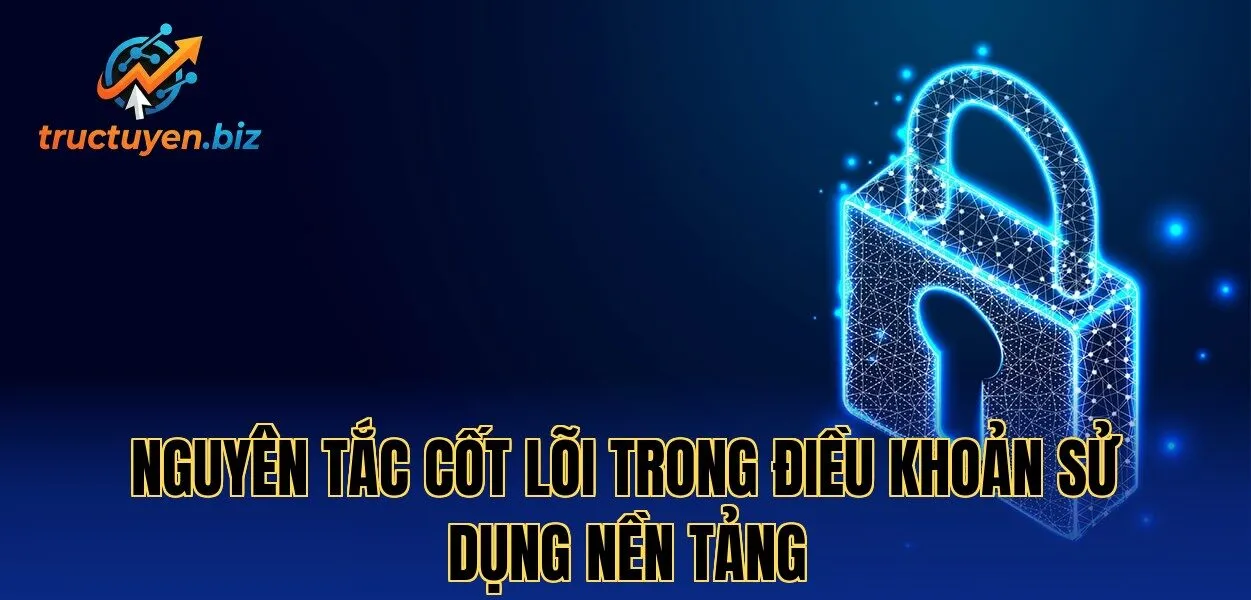 Nguyên tắc cốt lõi trong điều khoản sử dụng nền tảng