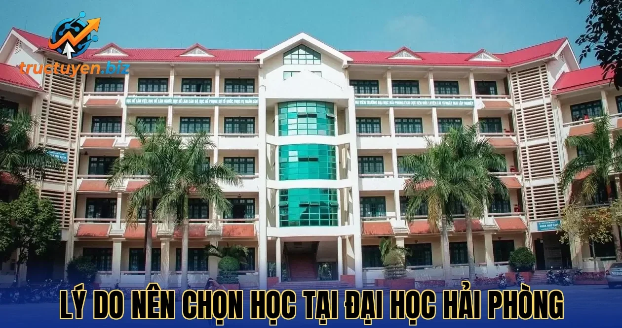 Lý do nên chọn học tại Đại học Hải Phòng