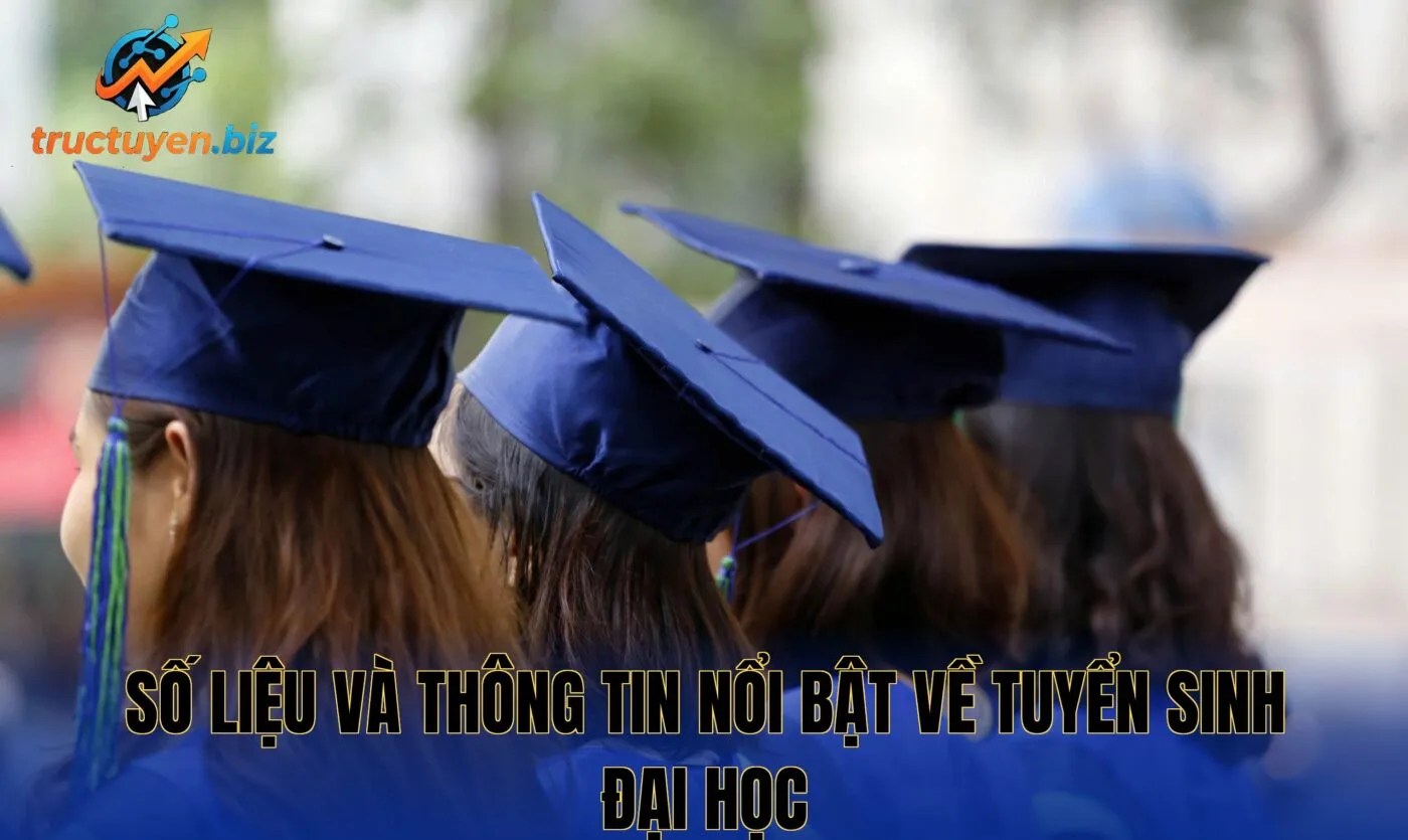 Số liệu và thông tin nổi bật về tuyển sinh đại học