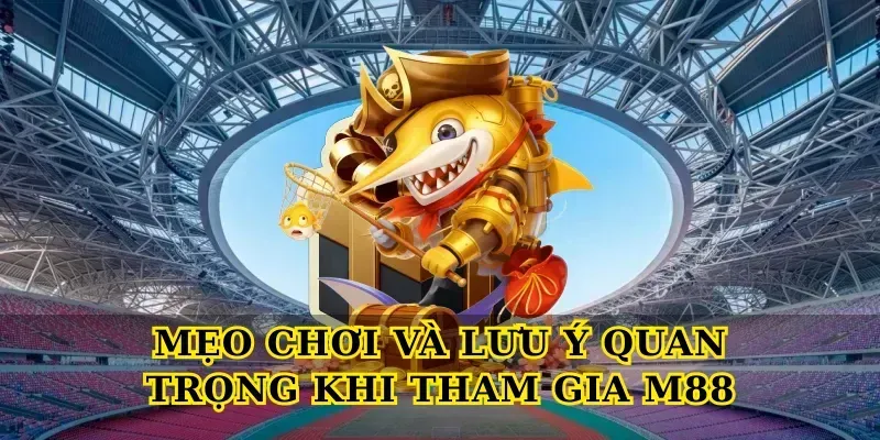 Mẹo chơi và lưu ý quan trọng khi tham gia M88